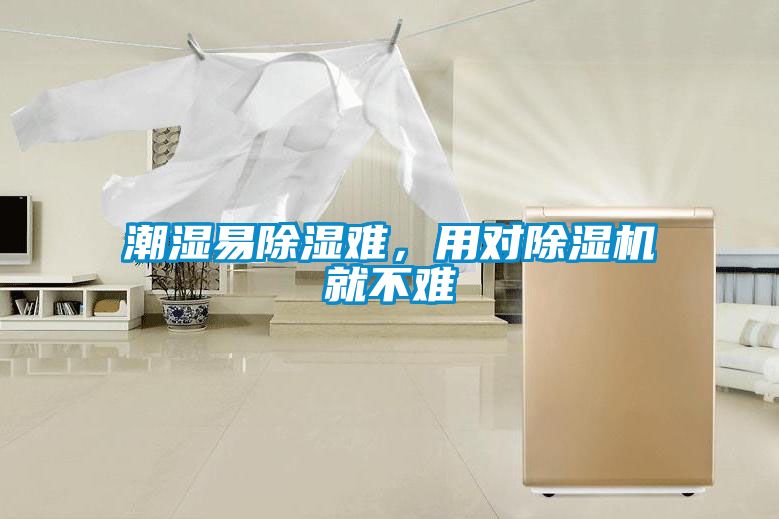 潮湿易除湿难，用对除湿机就不难