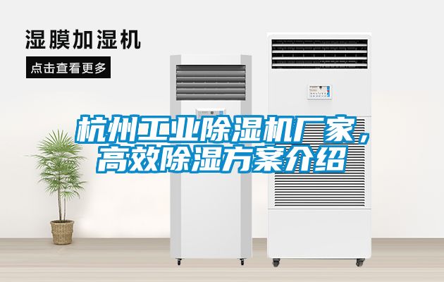 杭州工业除湿机厂家，高效除湿方案介绍