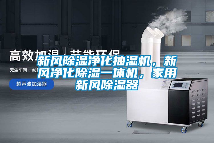 新风除湿净化抽湿机，新风净化除湿一体机，家用新风除湿器