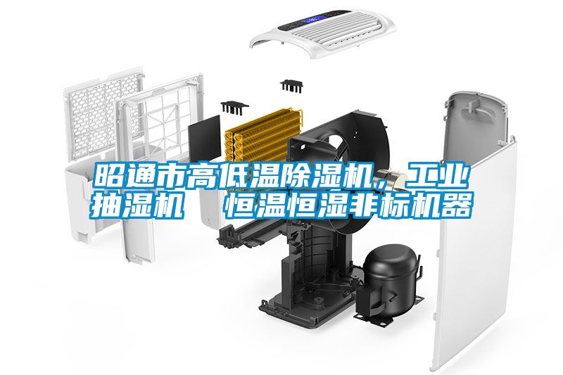 昭通市高低温除湿机，工业抽湿机  恒温恒湿非标机器
