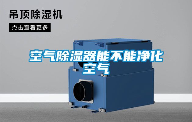空气除湿器能不能净化空气