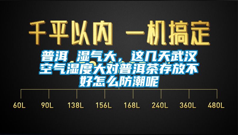 普洱 湿气大，这几天武汉空气湿度大对普洱茶存放不好怎么防潮呢