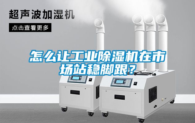 怎么让工业除湿机在市场站稳脚跟？
