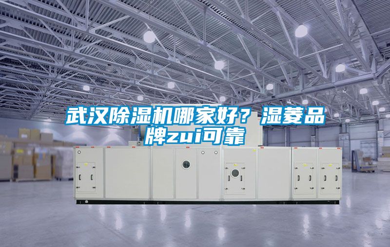 武汉除湿机哪家好?湿菱品牌zui可靠