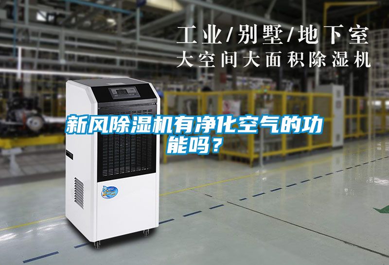 新风除湿机有净化空气的功能吗？