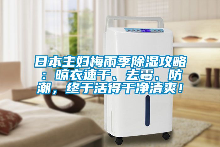 日本主妇梅雨季除湿攻略：晾衣速干、去霉、防潮，终于活得干净清爽！