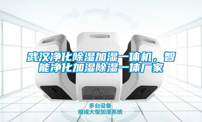 武汉净化除湿加湿一体机，智能净化加湿除湿一体厂家