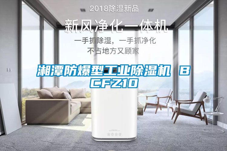 湘潭防爆型工业除湿机 BCFZ10