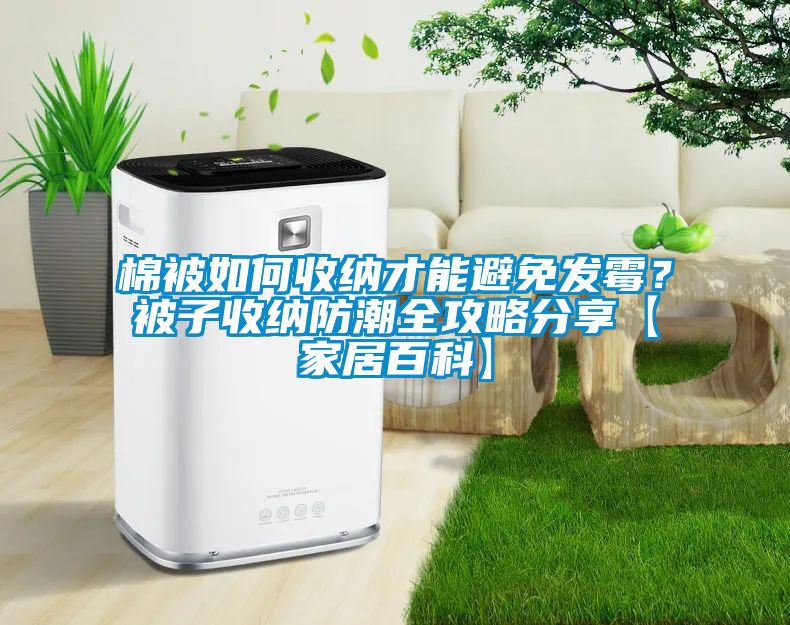 棉被如何收纳才能避免发霉？被子收纳防潮全攻略分享【家居百科】