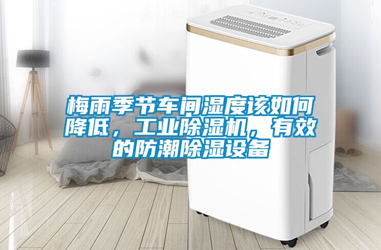 梅雨季节车间湿度该如何降低，工业除湿机，有效的防潮除湿设备