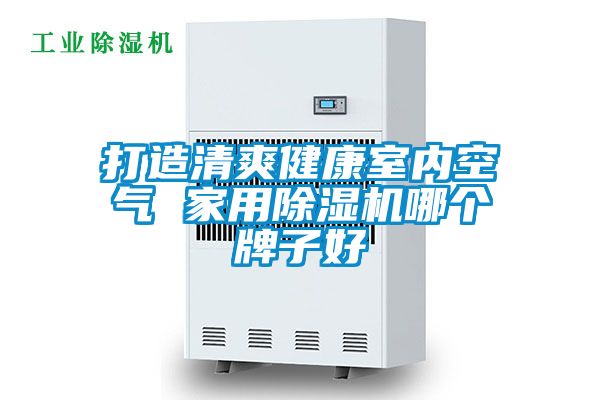打造清爽健康室内空气 家用除湿机哪个牌子好