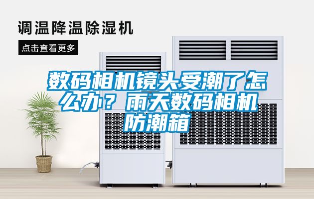 数码相机镜头受潮了怎么办？雨天数码相机防潮箱