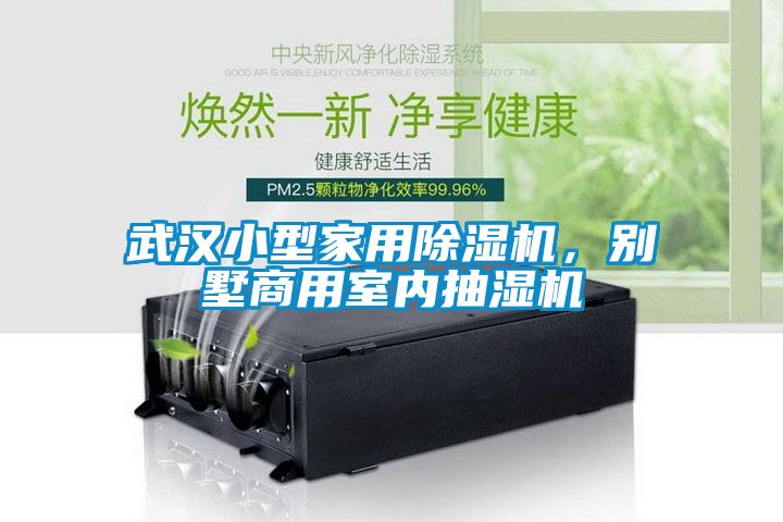 武汉小型家用除湿机，别墅商用室内抽湿机
