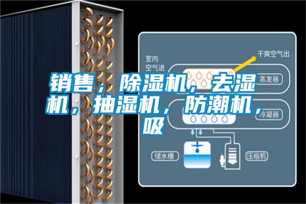 销售，除湿机，去湿机，抽湿机，防潮机，吸