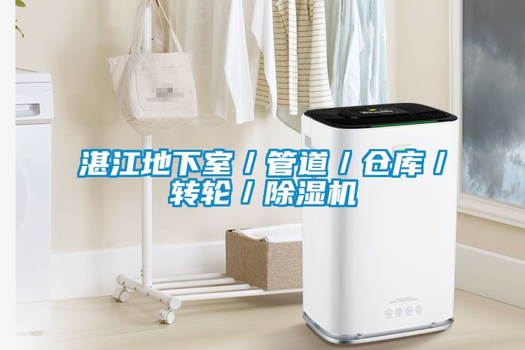 湛江地下室／管道／仓库／转轮／除湿机