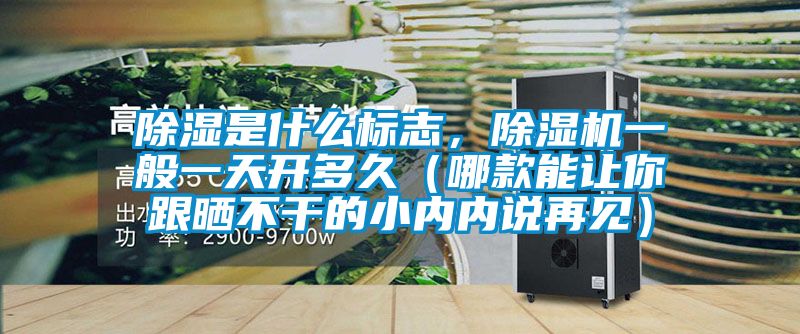 除湿是什么标志，除湿机一般一天开多久（哪款能让你跟晒不干的小内内说再见）