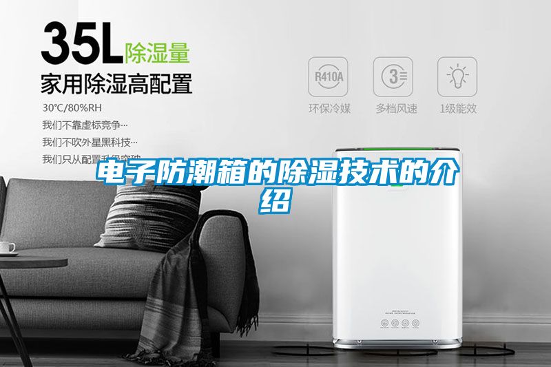电子防潮箱的除湿技术的介绍