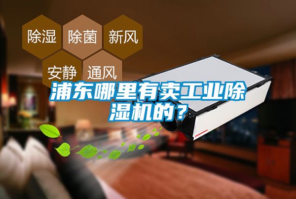 浦东哪里有卖工业除湿机的？