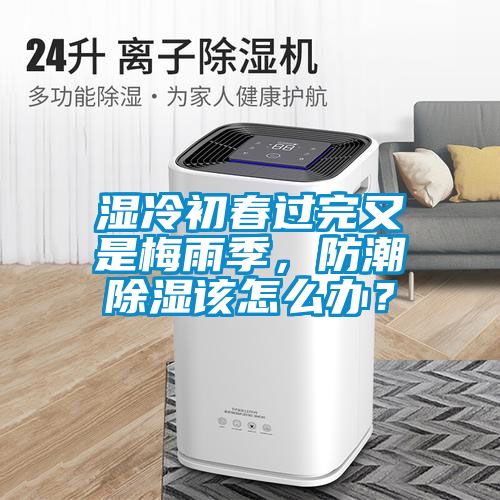 湿冷初春过完又是梅雨季，防潮除湿该怎么办？