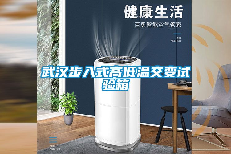 武汉步入式高低温交变试验箱