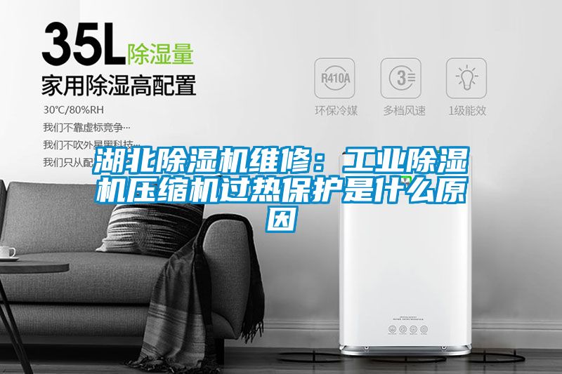 湖北除湿机维修：工业除湿机压缩机过热?；な鞘裁丛?/></p>
						    <p style=