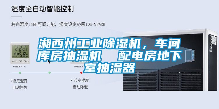 湘西州工业除湿机，车间库房抽湿机  配电房地下室抽湿器