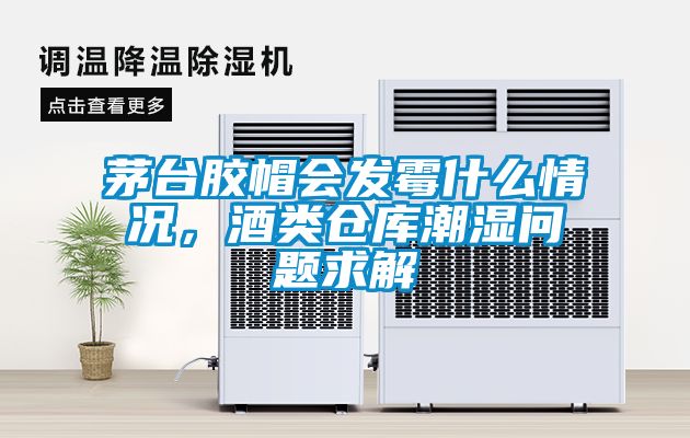 茅台胶帽会发霉什么情况，酒类仓库潮湿问题求解