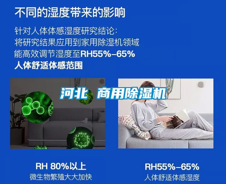 河北 商用除湿机