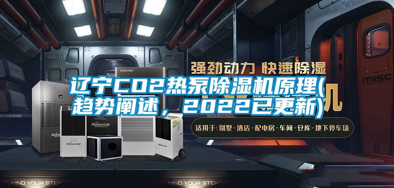 辽宁CO2热泵除湿机原理(趋势阐述，2022已更新)