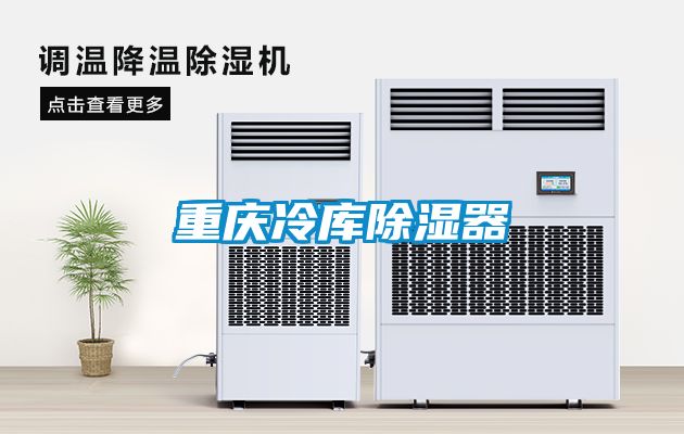 重庆冷库除湿器