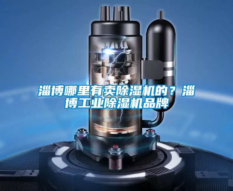 淄博哪里有卖除湿机的？淄博工业除湿机品牌
