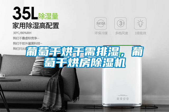 葡萄干烘干需排湿，葡萄干烘房除湿机