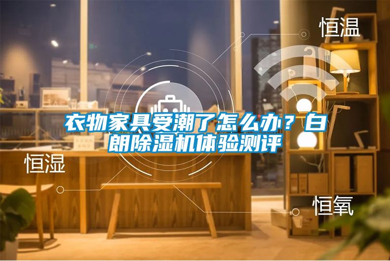 衣物家具受潮了怎么办？白朗除湿机体验测评