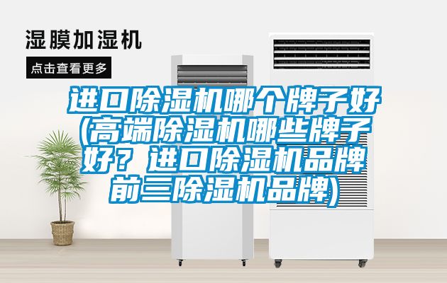 进口除湿机哪个牌子好(高端除湿机哪些牌子好？进口除湿机品牌前三除湿机品牌)