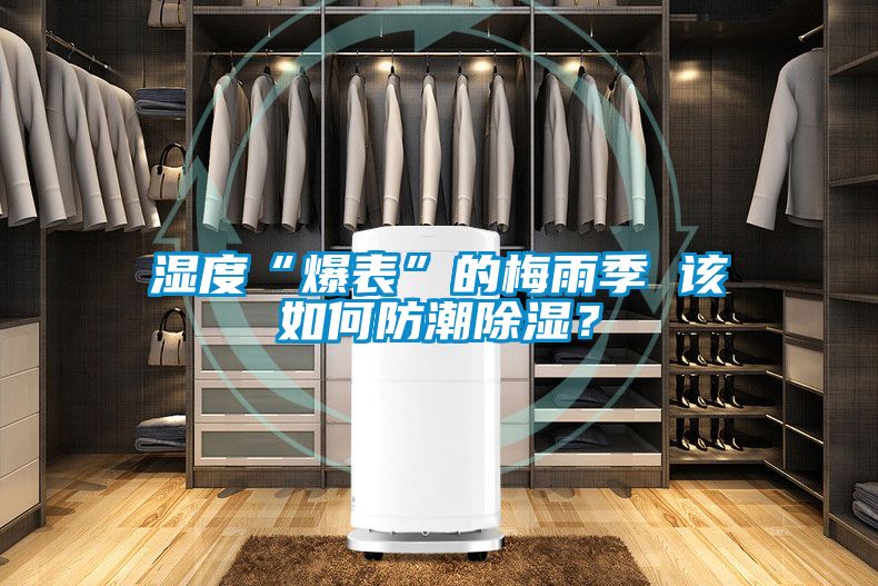 湿度“爆表”的梅雨季 该如何防潮除湿？