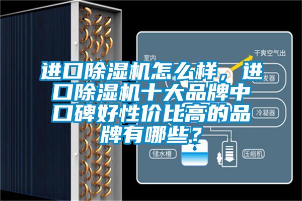 进口除湿机怎么样，进口除湿机十大品牌中口碑好性价比高的品牌有哪些？