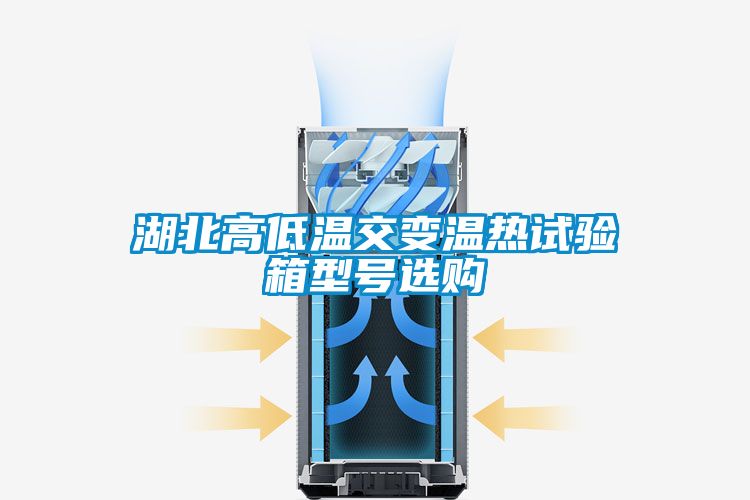 湖北高低温交变温热试验箱型号选购
