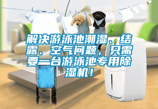 解决游泳池潮湿、结露、空气问题，只需要一台游泳池专用除湿机！