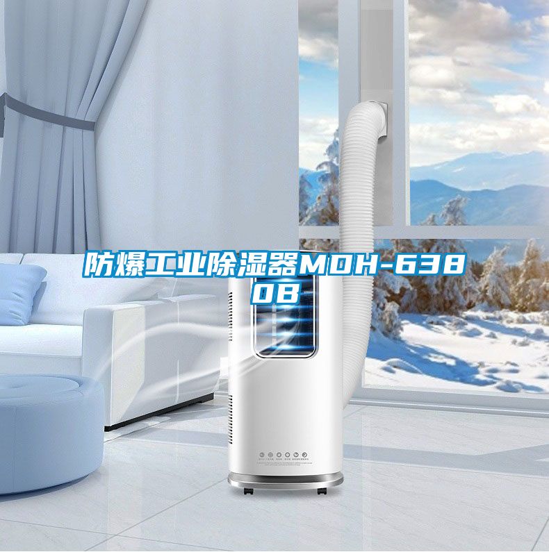 防爆工业除湿器MDH-6380B