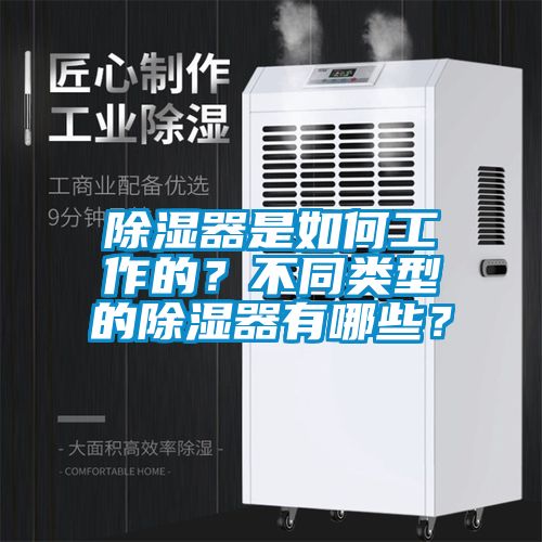 除湿器是如何工作的？不同类型的除湿器有哪些？