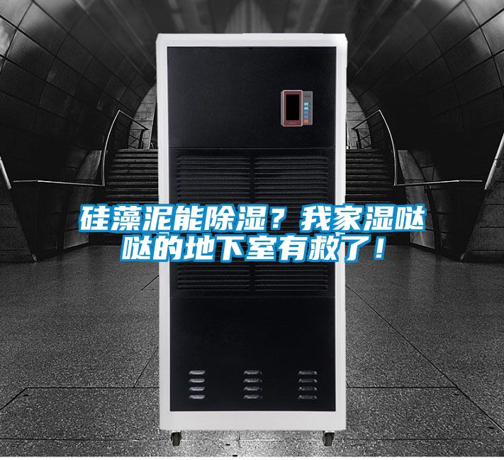 硅藻泥能除湿？我家湿哒哒的地下室有救了！
