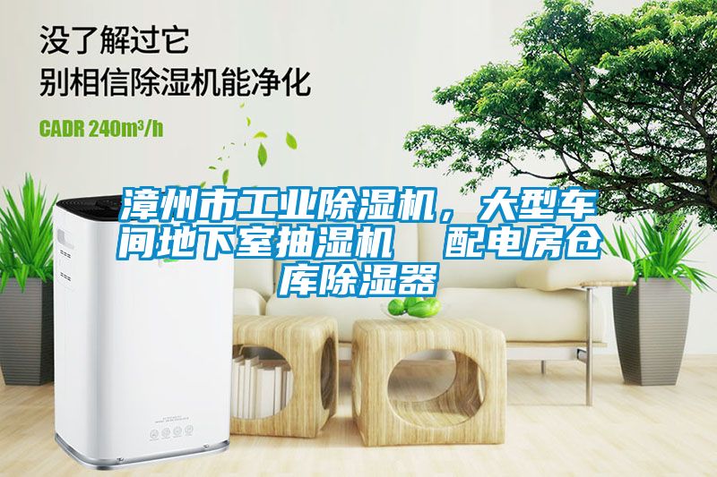 漳州市工业除湿机，大型车间地下室抽湿机  配电房仓库除湿器