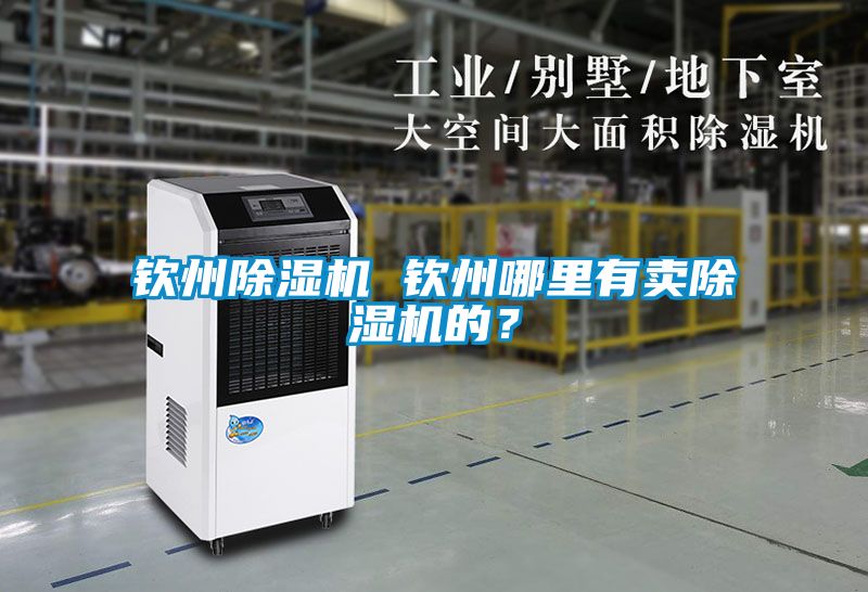 钦州除湿机 钦州哪里有卖除湿机的？