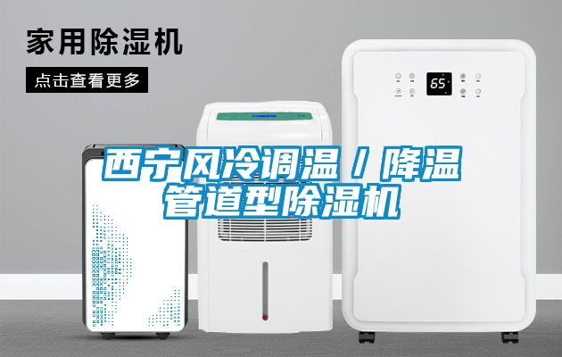 西宁风冷调温/降温管道型除湿机