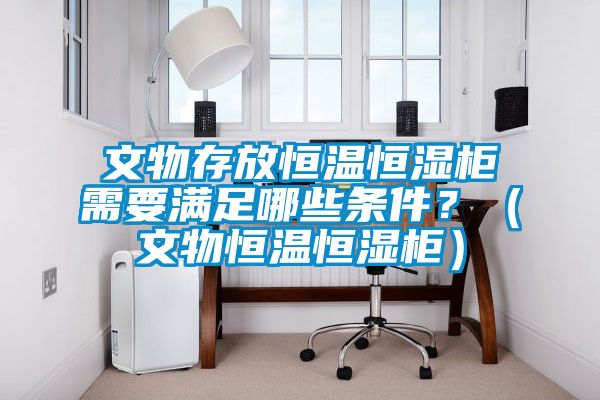 文物存放恒温恒湿柜需要满足哪些条件？（文物恒温恒湿柜）