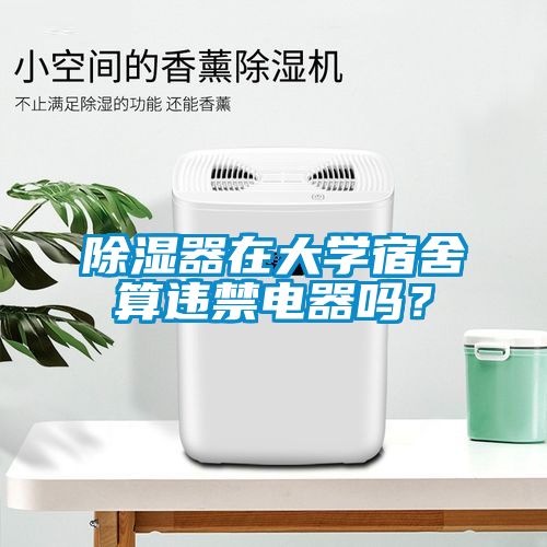 除湿器在大学宿舍算违禁电器吗？