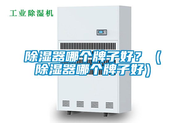除湿器哪个牌子好？（除湿器哪个牌子好）