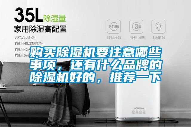 购买除湿机要注意哪些事项，还有什么品牌的除湿机好的，推荐一下
