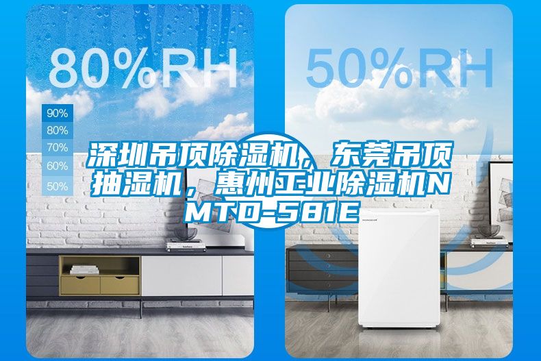 深圳吊顶除湿机，东莞吊顶抽湿机，惠州工业除湿机NMTD-581E