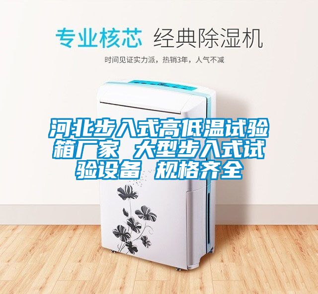 河北步入式高低温试验箱厂家 大型步入式试验设备 规格齐全